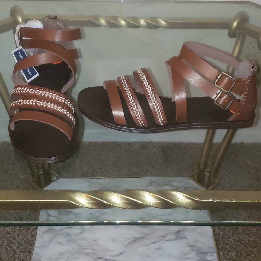 Shoe